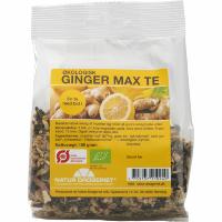 Ginger max te 100 g Øko